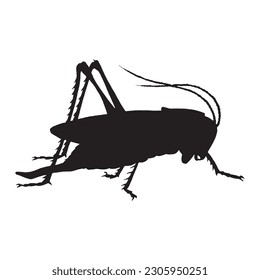 grasshopper silhouette vector black color on white background