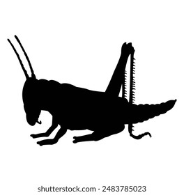 grasshopper silhouette vector design. black and white.