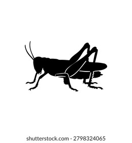 Grasshopper silhouette vector flat design on white background.
