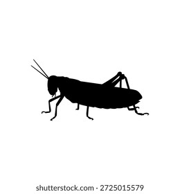 Projeto de ilustração plana vetor silhueta gafanhoto.