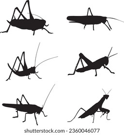 Grasshopper Silhouette Vector Graphic Pack