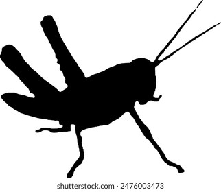 Grasshopper Silhouette vector illustration design with black color, creative and simple design