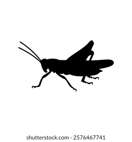 Grasshopper silhouette vector illustration design on white background.