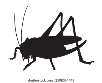 Ilustración vectorial de silueta de saltamontes. Icono de saltamontes Arte vectorial fondo blanco