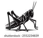 Grasshopper silhouette with white Background 