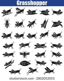 Grasshopper Silhouettes In Various Poses Black Vector Illustration