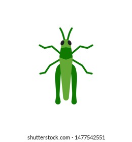 Grasshopper single flat icon. Insect simple sign in cartoon style. Cricket Bug pictogram Wildlife symbol. Entomology closeup vector illustration isolated on white Graphic design element for card, logo