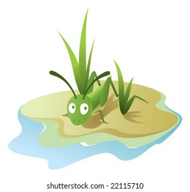 Grasshopper sitting in a grass on an islet. Vector illustration.