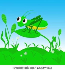 grasshopper sitting in the grass - vector  illustration, eps 
