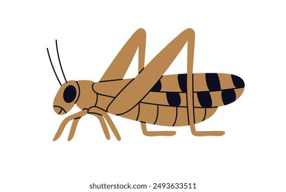 Grasshopper, summer insect, animal species. Summer bug with long legs, side view. Grass hopper profile. Flat graphic vector illustration isolated on white background