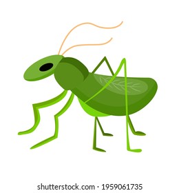 Grasshopper symbol of good luck. Isolated vector item on white background. Success symbol. Simple design.