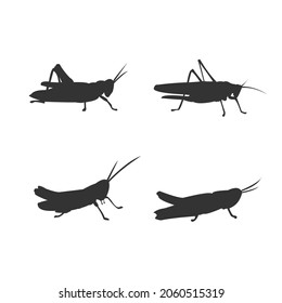 grasshopper various models vector silhouette