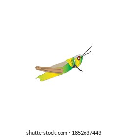 grasshopper vector design ilustration icon logo templat
