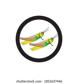 grasshopper vector design ilustration icon logo templat
