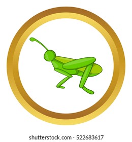 Grasshopper vector icon in golden circle, cartoon style isolated on white background