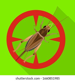 Grasshopper vector icon.Flat vector icon isolated on white background grasshopper.