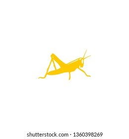 grasshopper vector illustration