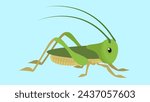 Grasshopper vector illustration in flat style. Green grasshopper.