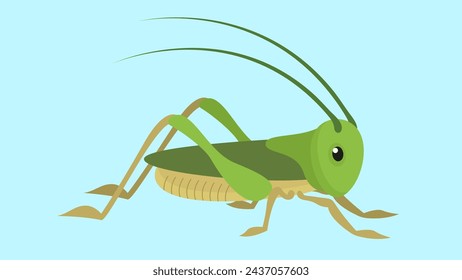 Grasshopper vector illustration in flat style. Green grasshopper.
