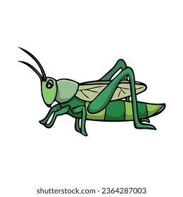 grasshopper vector illustration,isolated on white background,top view