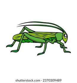 grasshopper vector illustration,isolated on white background,top view