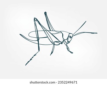 grasshopper vector line art animal wild life single one line hand drawn illustration isolated