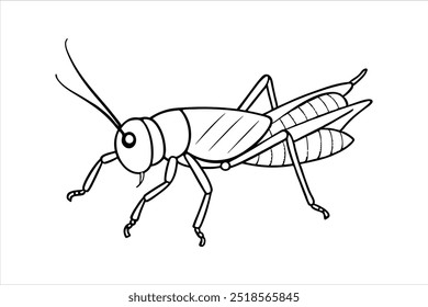 Ilustración de arte de línea de Vector de saltamontes