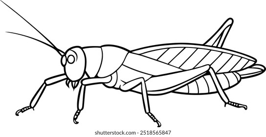 Grasshopper vector line art illustration