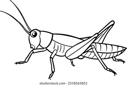 Ilustración de arte de línea de Vector de saltamontes