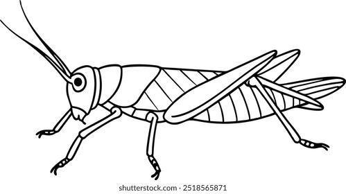 Ilustración de arte de línea de Vector de saltamontes