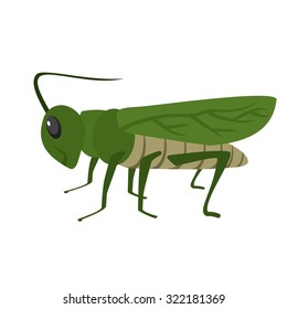 Grasshoppers, green, animal icon vector image. Can also be used for Animals and Insects. Suitable for mobile apps, web apps and print media.