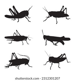 grasshoppers silhouette collection set vector