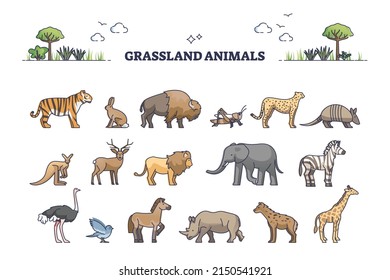 Grassland Animals For Savanna Or Safari Collection With Mammals Outline Set. Australia Fauna Elements With Biodiversity Examples Vector Illustration. African Elephants, Giraffe, Lion, Rhino And Zebra.