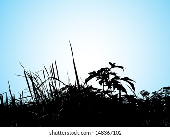 grassland background