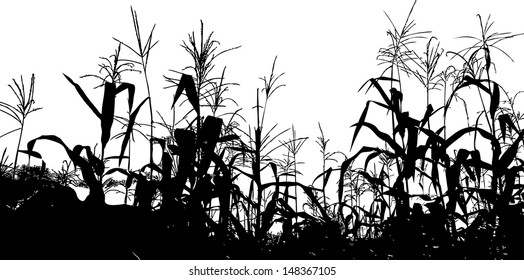 grassland background