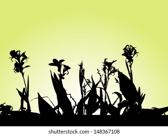 grassland background