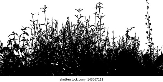 Download Wild Grass Silhouette Images Stock Photos Vectors Shutterstock