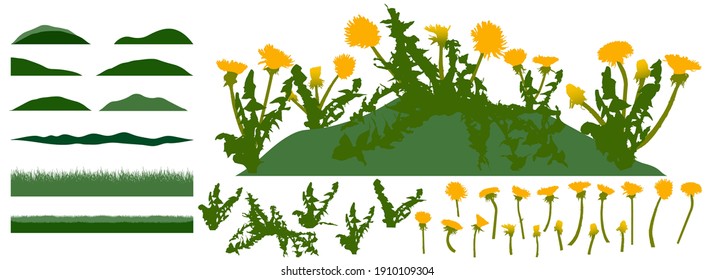 Grassland, constructor kit. Beautiful dandelion flowers, grass. Collection of element for create spring meadow. Vector illustration.