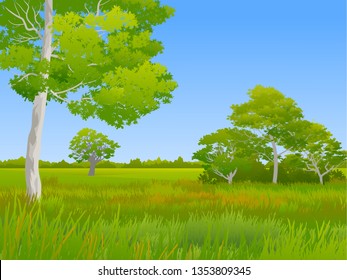 grassland in countryside nature landscape