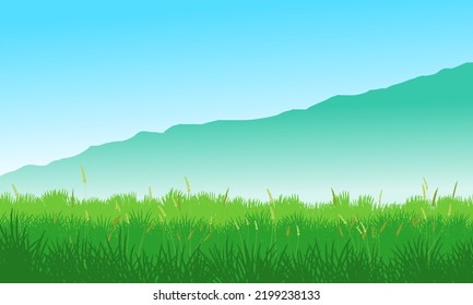 grassland. grassy field. landscape with blue sky background