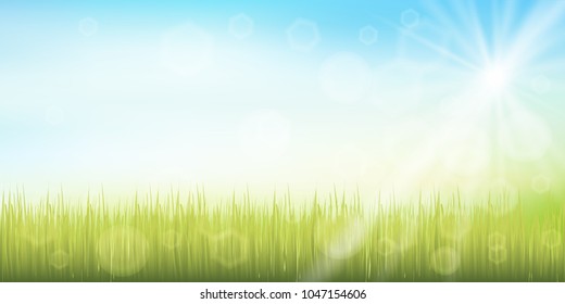Grassland Sky Landscape Background