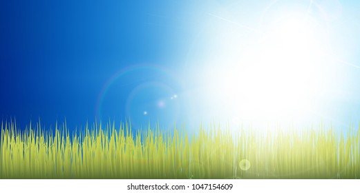 Grassland Sky Landscape Background