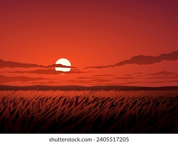 Grassland at sundown. Vector nature landscape