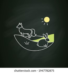 Grasslands chalk icon. Fox and rabbit live in grasslands. Hunting. Generally located between deserts and forests. Biodiversity concept. Isolated vector illustration on chalkboard