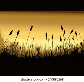 Grassy Dawn Environment, Vector Illustration.