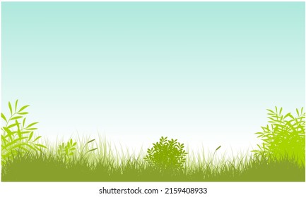 grassy field with bush and reeds