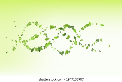 Grassy Foliage Abstract Vector Green Background Border. Nature Leaves Illustration. Falling Forest Greenery. Swirling Plant Leaves.