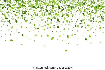 Grassy Foliage Blur Vector Border. Flying Leaves Wallpaper. Swamp Greens Herbal Poster. Leaf Forest Illustration.