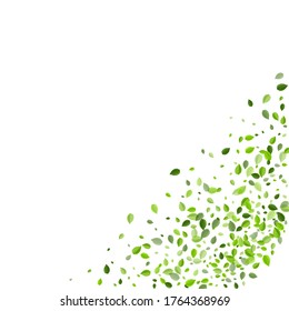 Grassy Foliage Blur Vector Template. Flying Leaf Concept. Lime Greens Wind Illustration. Leaves Tree Backdrop.