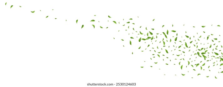 Grassy Foliage Ecology Vector Panoramic White Background Wallpaper. Forest Greens Template. Swamp Leaf Blur Illustration. Leaves Fresh Backdrop.